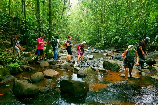 Sinharaja Rainforest